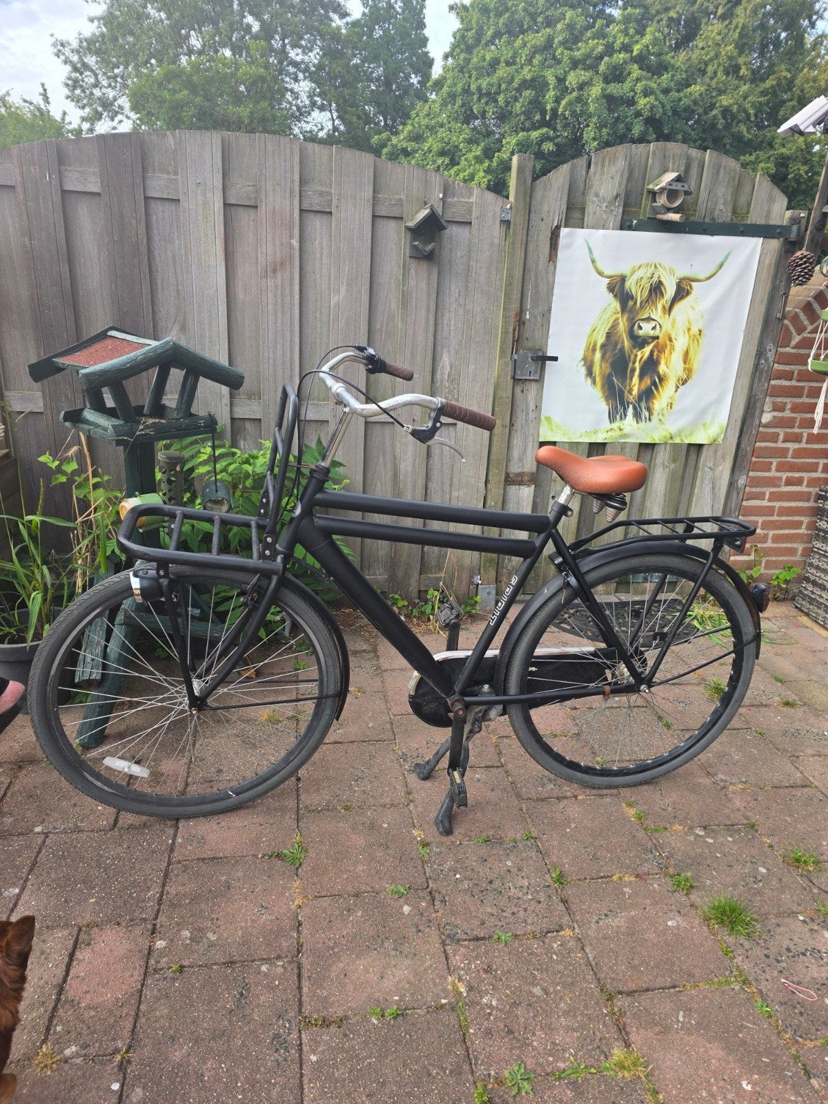 Spirit transportfiets 3 versnellingen, Versnellingen, Zo goed als nieuw, 57 tot 61 cm, Ophalen