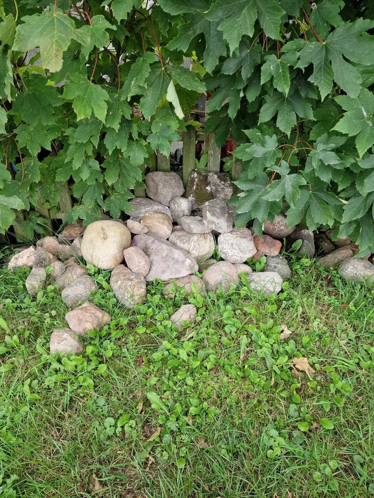 zwerfkeien gratis, Tuin en Terras, Ophalen of Verzenden