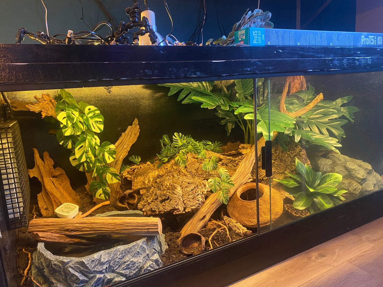 terrarium inclusief inrichting en apperatuur. 150x60x60 cm., Dieren en Toebehoren, Ophalen, Zo goed als nieuw, Terrarium of Paludarium