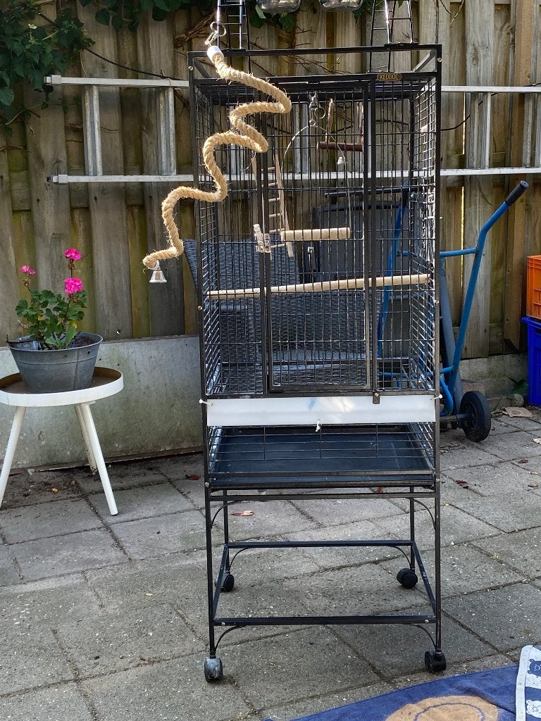 Volgelkooi, Ophalen, Zo goed als nieuw, Metaal, Vogelkooi
