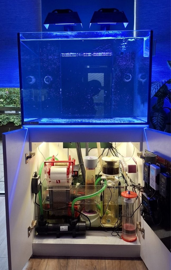 Aqua Medic Armatus 300XD complete set, Ophalen, Inclusief deksel, Zo goed als nieuw, Leeg aquarium