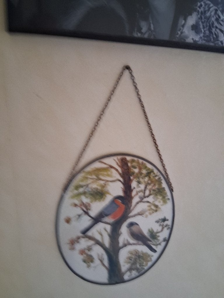 goudvinken in glas, Ophalen, Zo goed als nieuw, Vogel, Overige typen