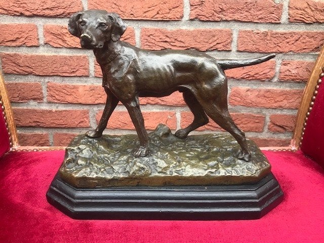 antiek bronzen beeld van een jachthond, Ophalen of Verzenden, Gepatineerd, Brons, Beeld