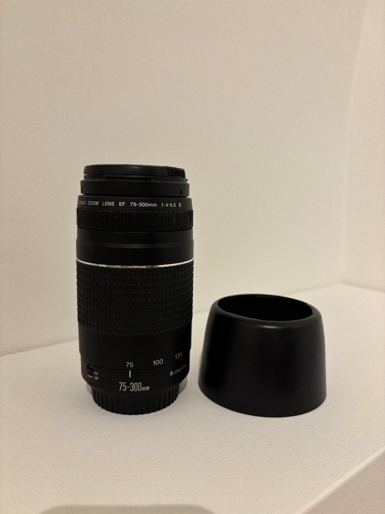 Canon EF 75-300mm Telelens Zoomlens voor Canon EOS, Audio, Tv en Foto, Fotografie | Lenzen en Objectieven, Ophalen, Gebruikt, Canon