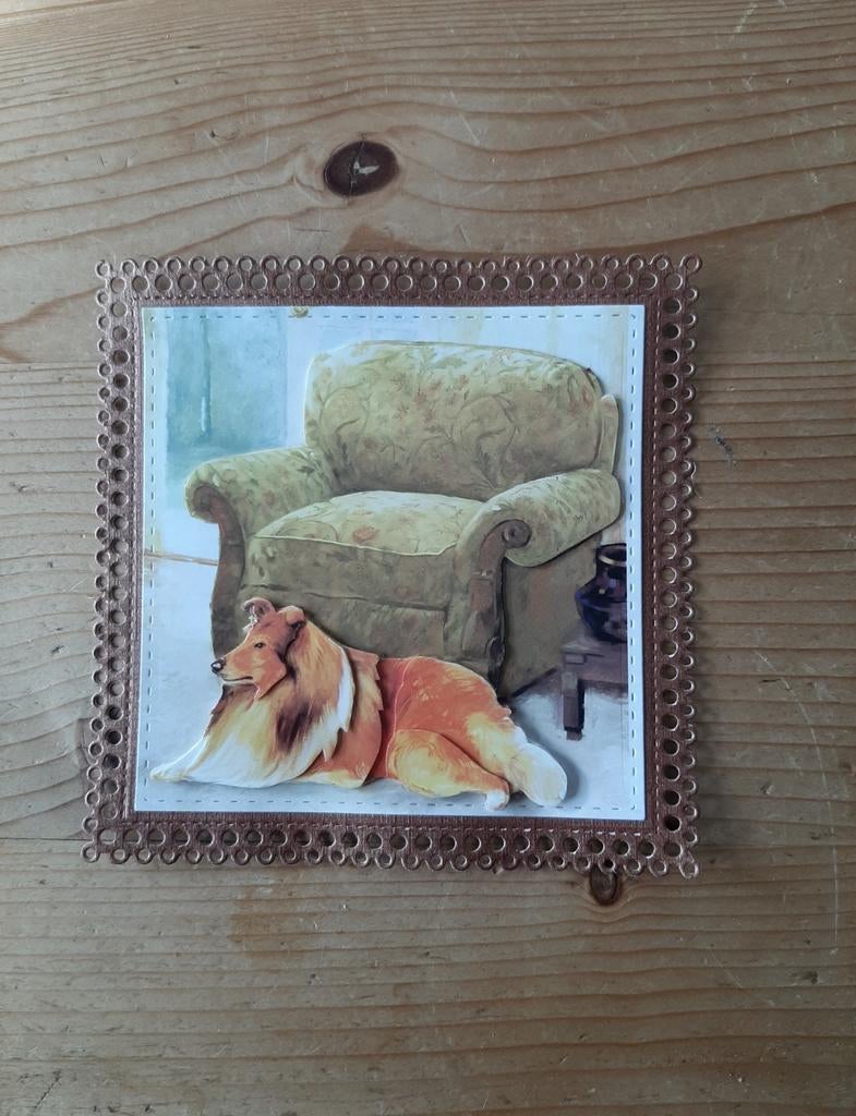 Stans kaart opleg met 3d plaatje Schotse Collie Lassiehond, Ophalen of Verzenden, Nieuw, Overige thema's