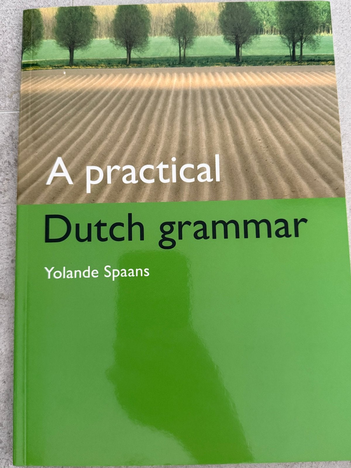 A Practical Dutch Grammar - Yolanda Spaans, Ophalen of Verzenden, Zo goed als nieuw, Non-fictie