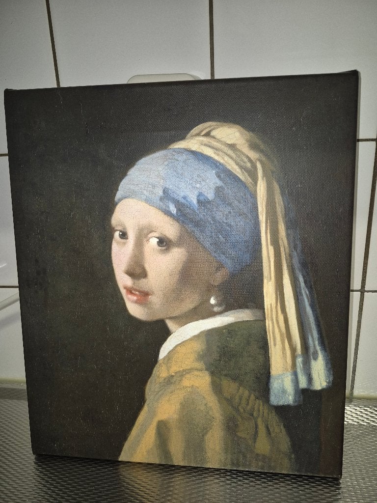 canvas schilderij (Gereserveerd), Minder dan 50 cm, Overige typen, Ophalen of Verzenden, Zo goed als nieuw