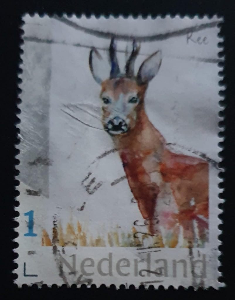 148-26 Nederland / Reebok, Verzenden, Na 1940, Gestempeld