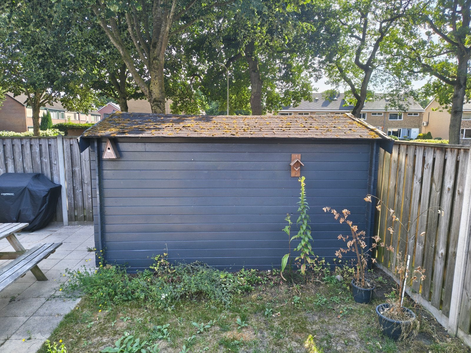 tuin schuur, Tuin en Terras, Tuinhuizen, Ophalen, 250 tot 500 cm, Schuur, 2 ramen