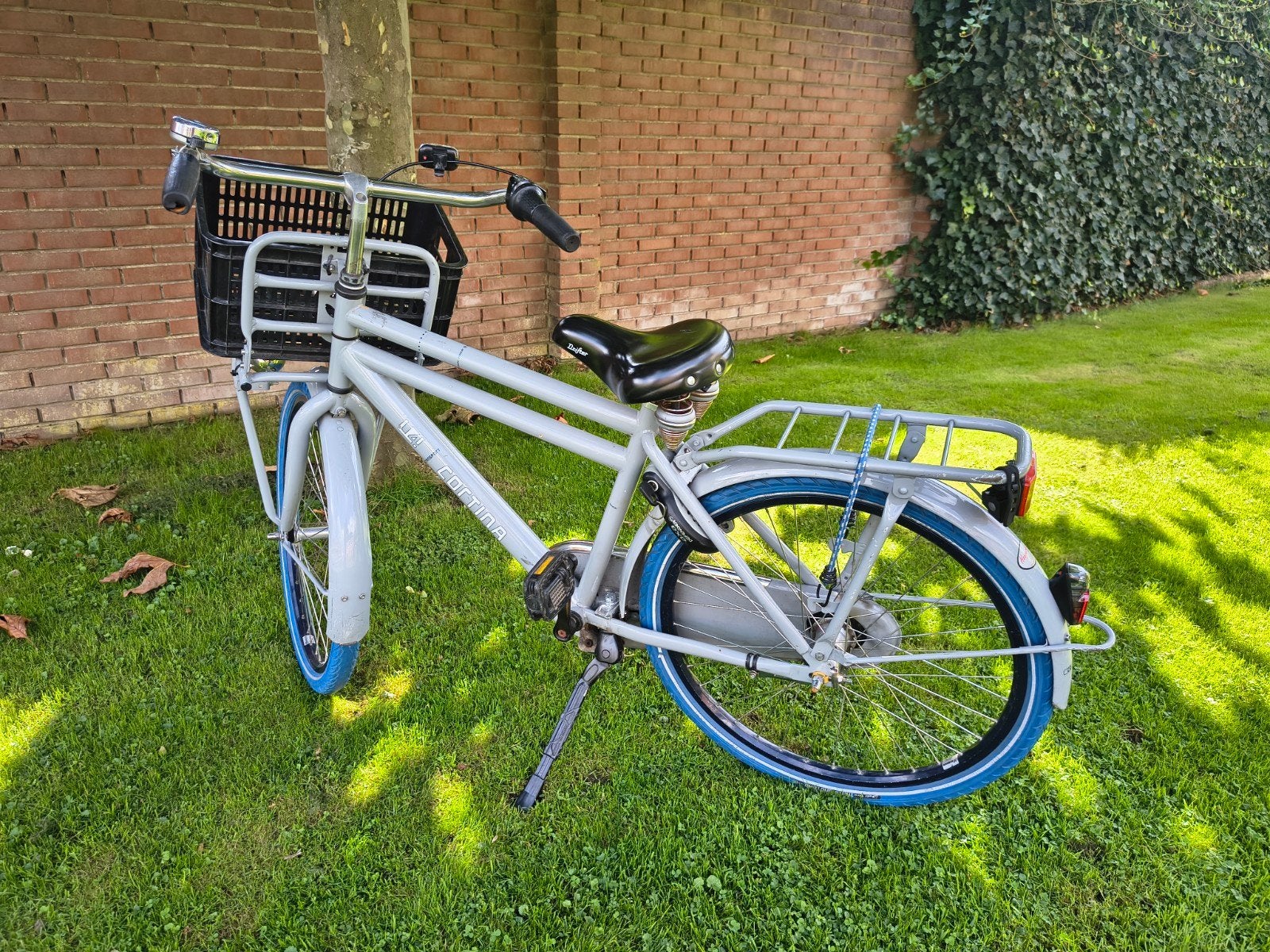 Cortina Transportfiets - Grijs met blauwe banden, Terugtraprem, Versnellingen, Ophalen, Overige merken