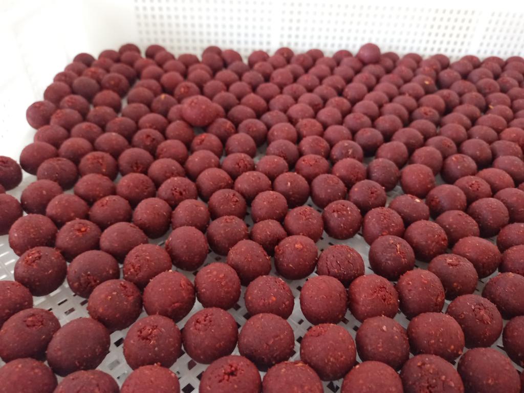 Robin red fish Spice premium boilie s, Ophalen of Verzenden, Nieuw, Overige typen