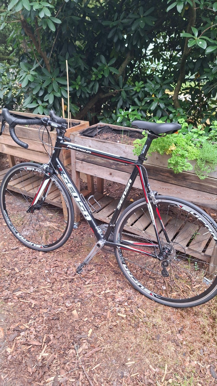 Sensa Romagna Racefiets - 62 cm frame, Fietsen en Brommers, Fietsen | Racefietsen, Gebruikt, Overige merken, Meer dan 20 versnellingen