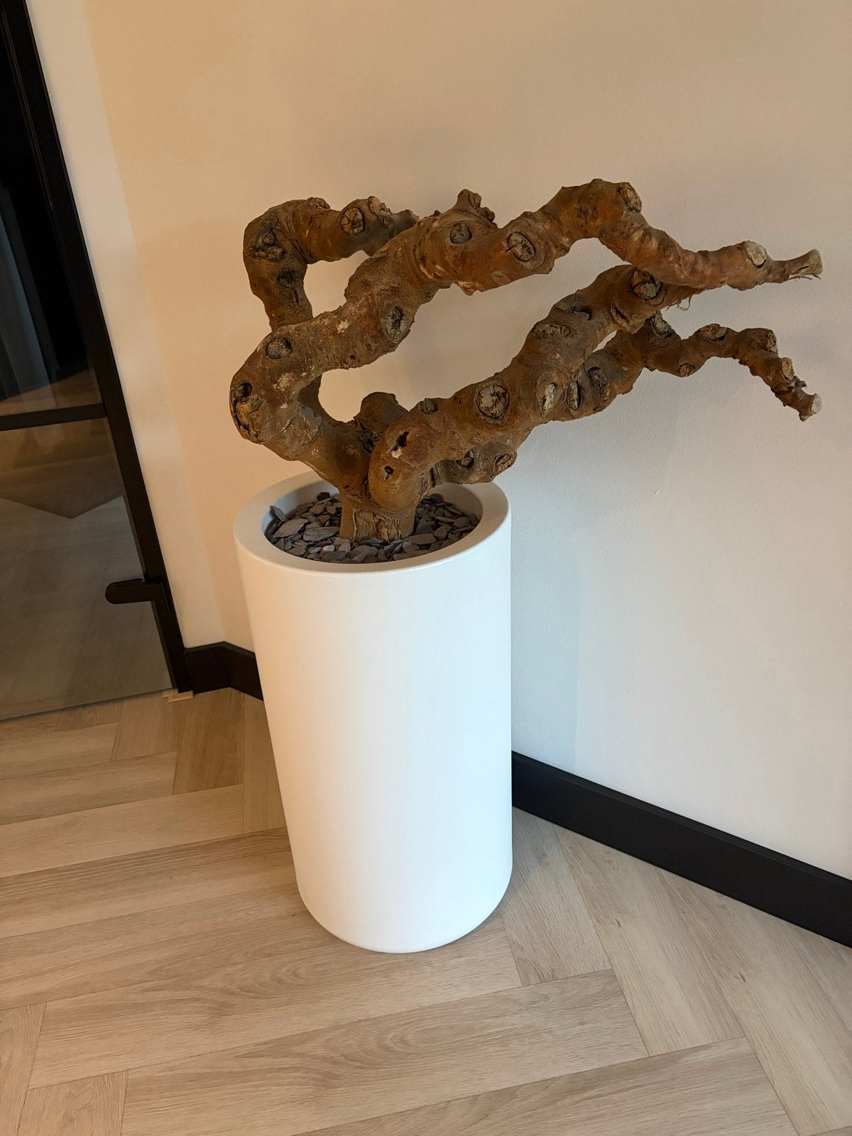Elho Cilindrische Pot met Decoratieve Olijven Stam, Ophalen, Kunststof, Zo goed als nieuw, Modern
