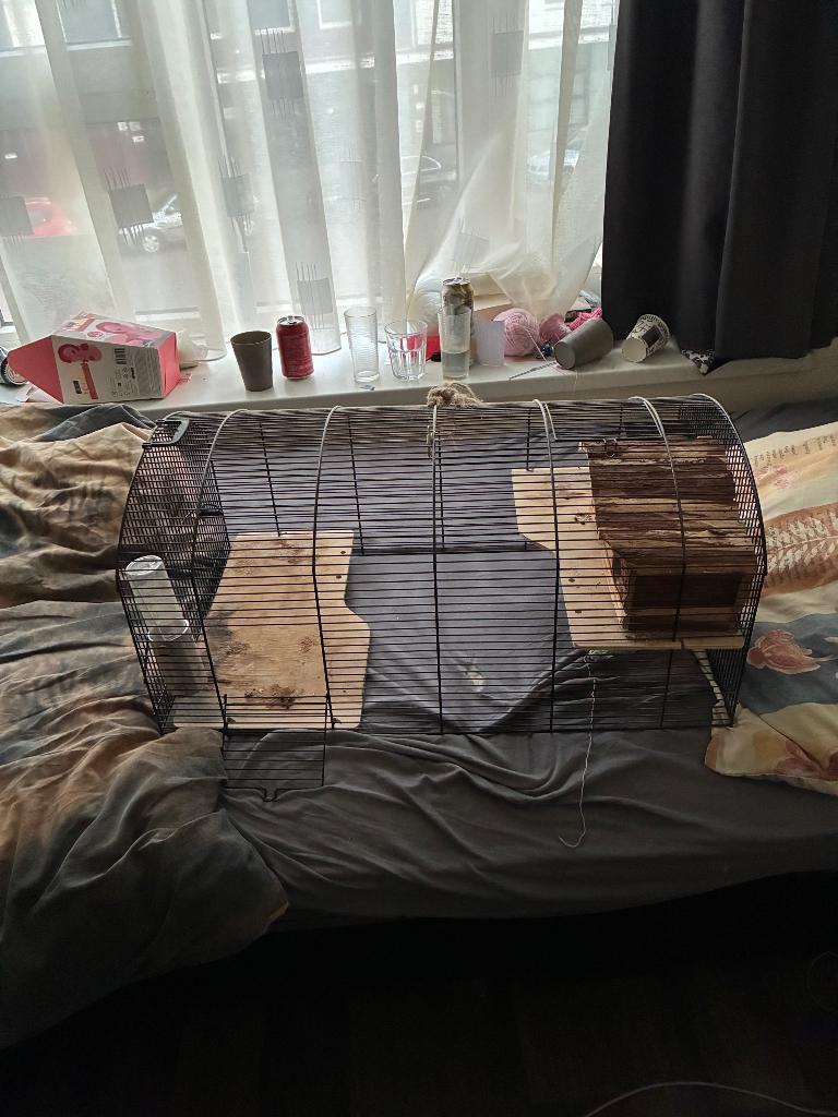 Kooi, Dieren en Toebehoren, Knaagdieren, Juli, Meerdere dieren, Hamster