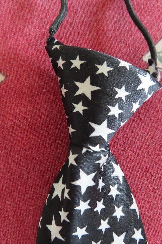 stropdas met sterretjes leuk!  + hanger van beertje bling, Sieraden, Tassen en Uiterlijk, Kettingen, Overige kleuren, Verzenden