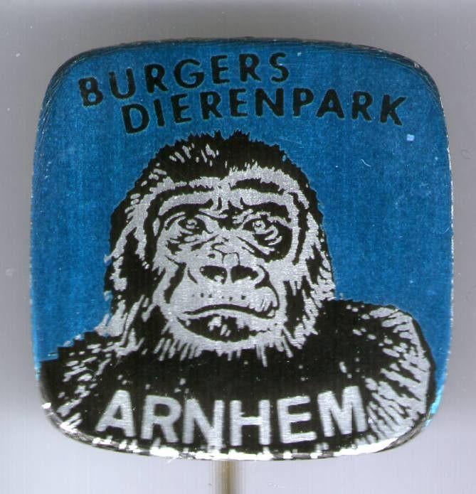 Burgers Dierenpark Arnhem aap blik speldje ( N_022 ), Verzenden, Nieuw, Dier of Natuur, Speldje of Pin