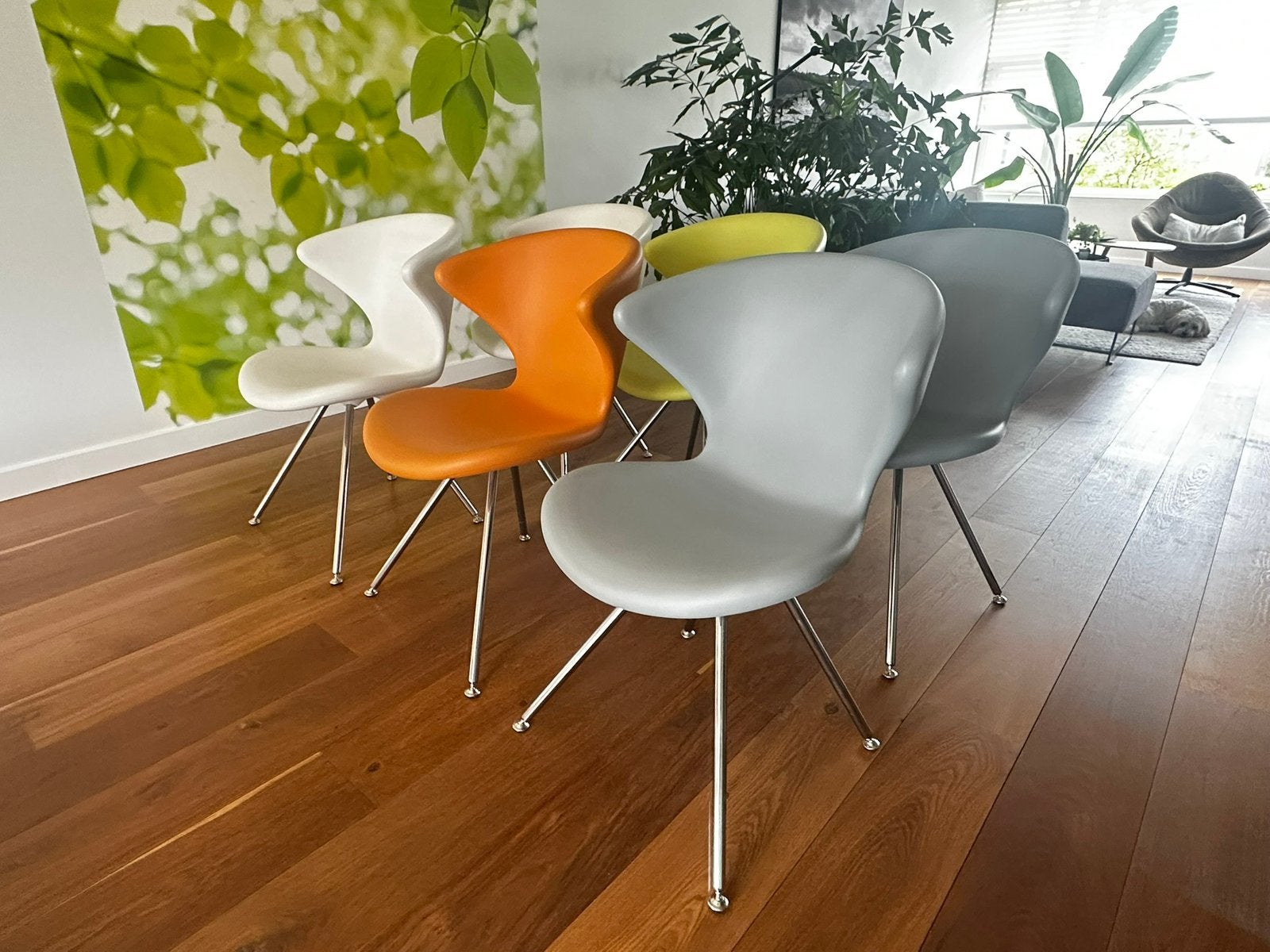 Tonon Concept Design Stoelen - Set of per stuk, Ophalen, Kunststof, Gebruikt, Overige kleuren
