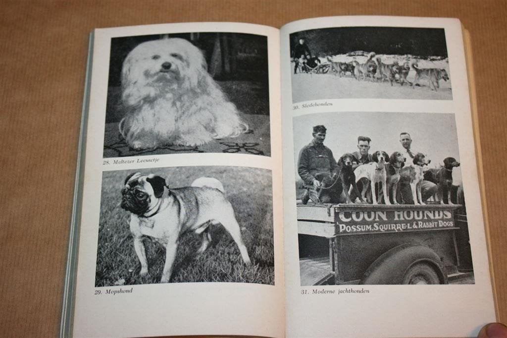 Prisma Hondenboek — Van Rheenen, Vintage Hondengids 1958, Boeken, Ophalen of Verzenden, Gelezen