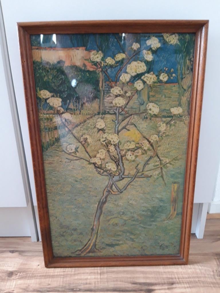 Vincent van Gogh, Perenboom in bloei, offset litho, Ophalen of Verzenden