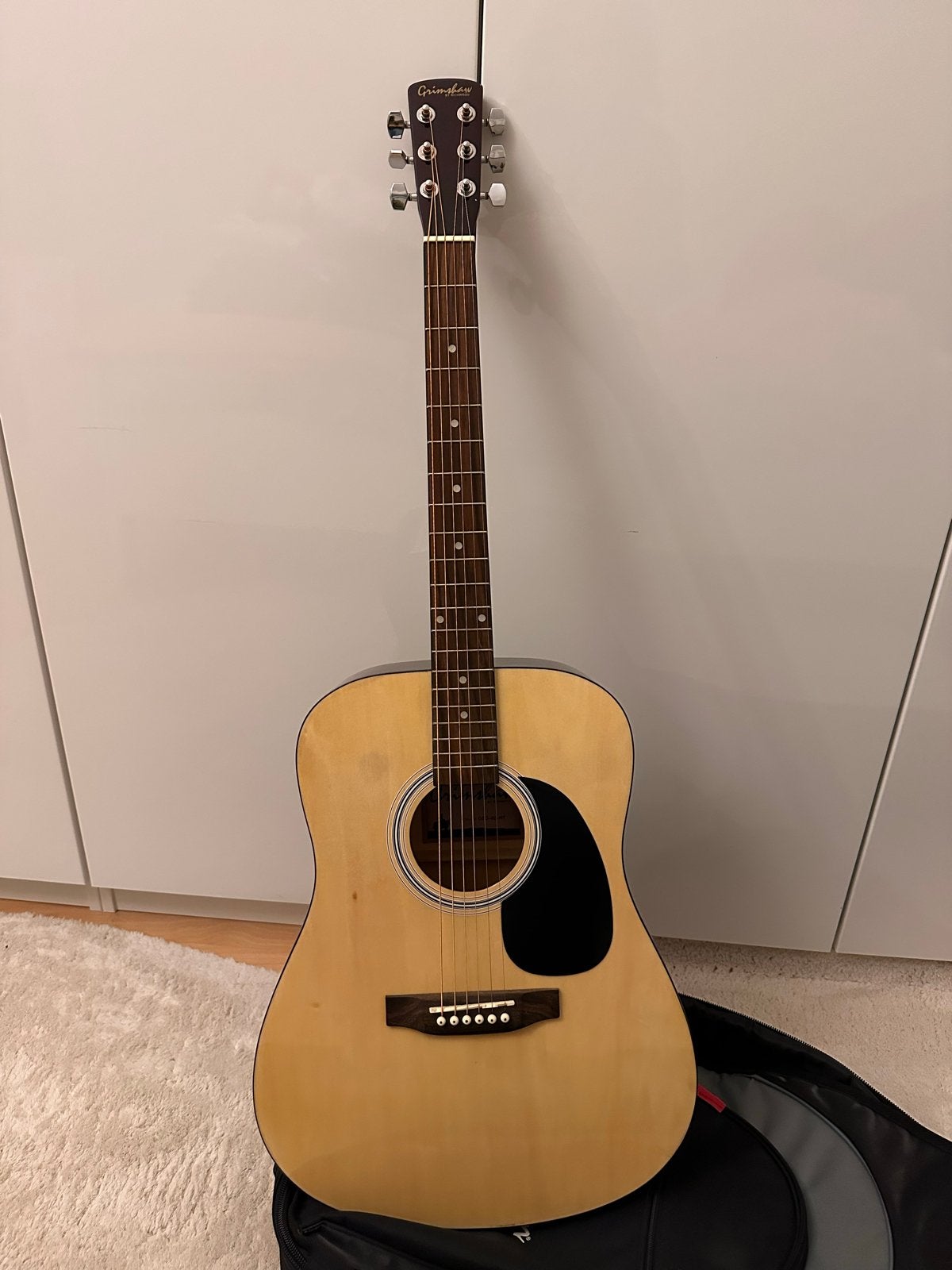 Grimshaw by Richwood Western gitaar met hoes, Muziek en Instrumenten, Ophalen, Zo goed als nieuw, Western- of Steelstringgitaar