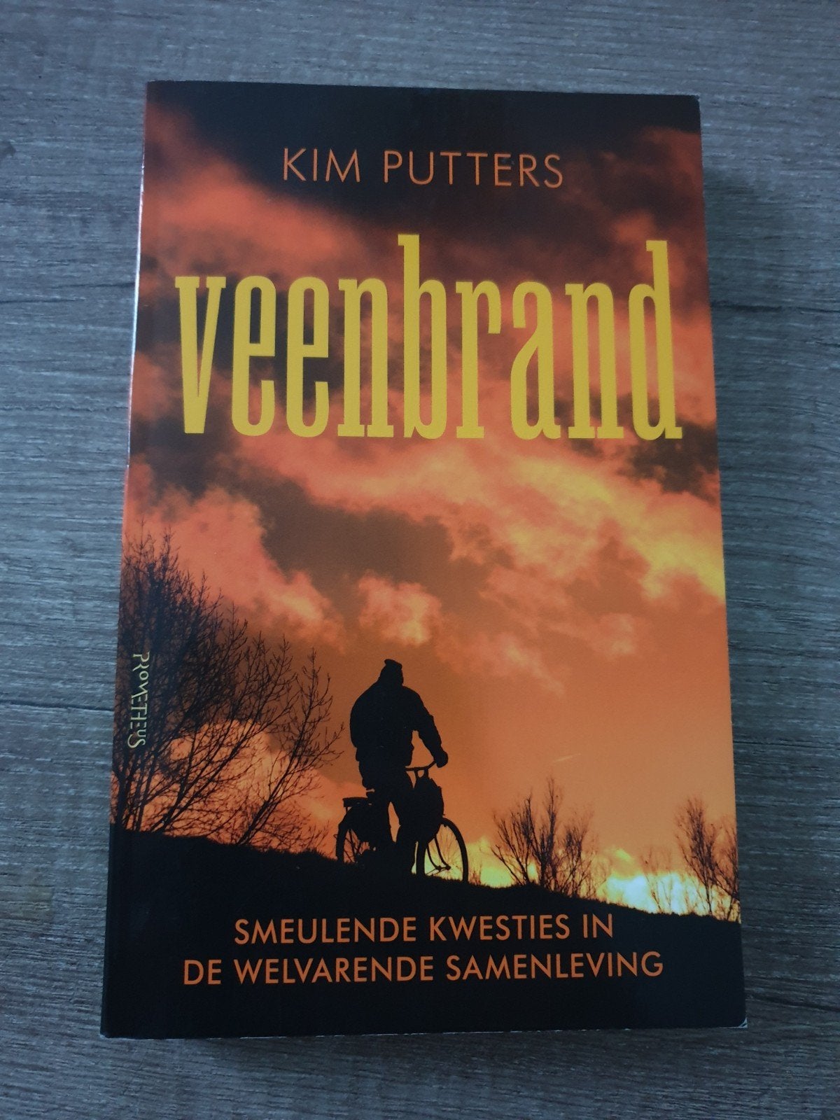 Veenbrand - Kim Putters (Boek), Boeken, Ophalen of Verzenden, Gelezen, Kim Putters