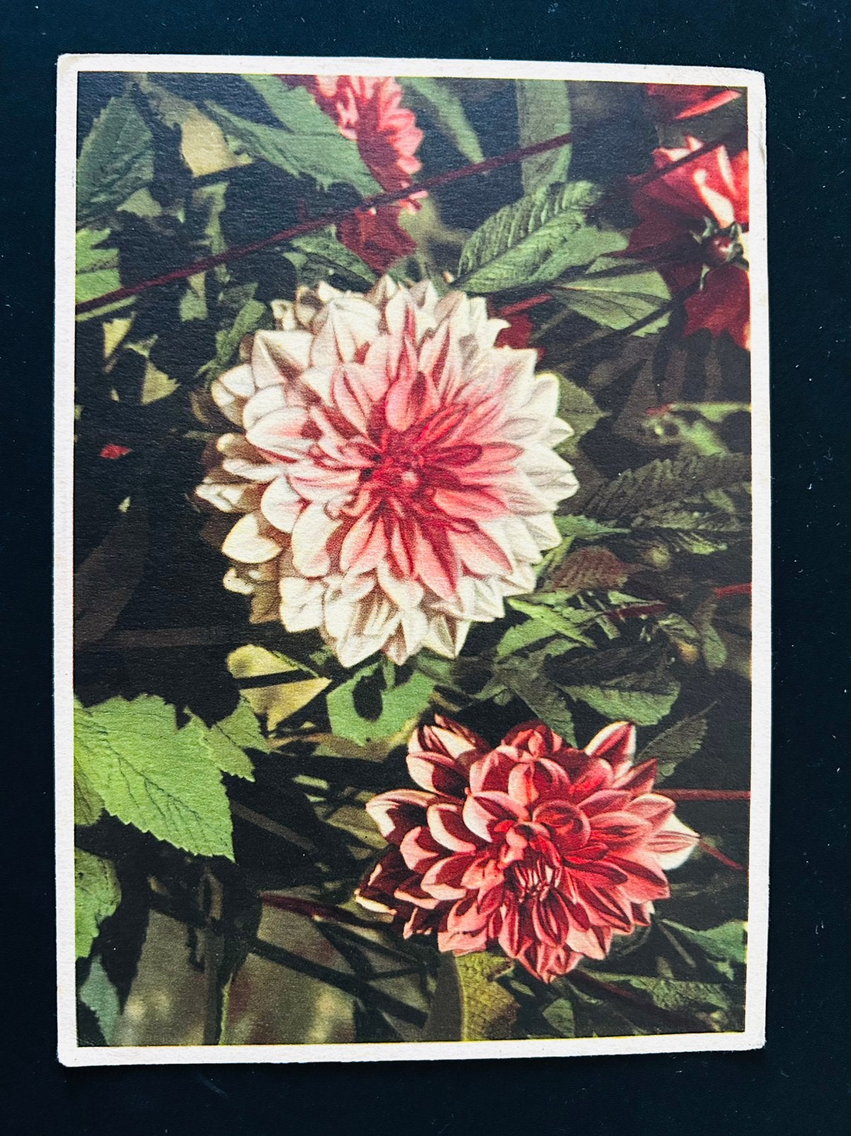 Postcard from 1943, Verzenden, Overige landen