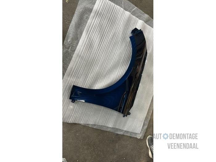 Scherm links-voor van een Renault Megane (TERPR), -, Renault, -, Nieuw
