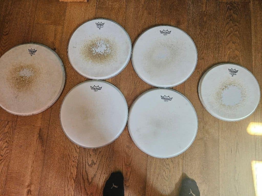 Remo Ambassador Vintage Coated 12" 14" en 16", Ophalen, Gebruikt, Overige merken