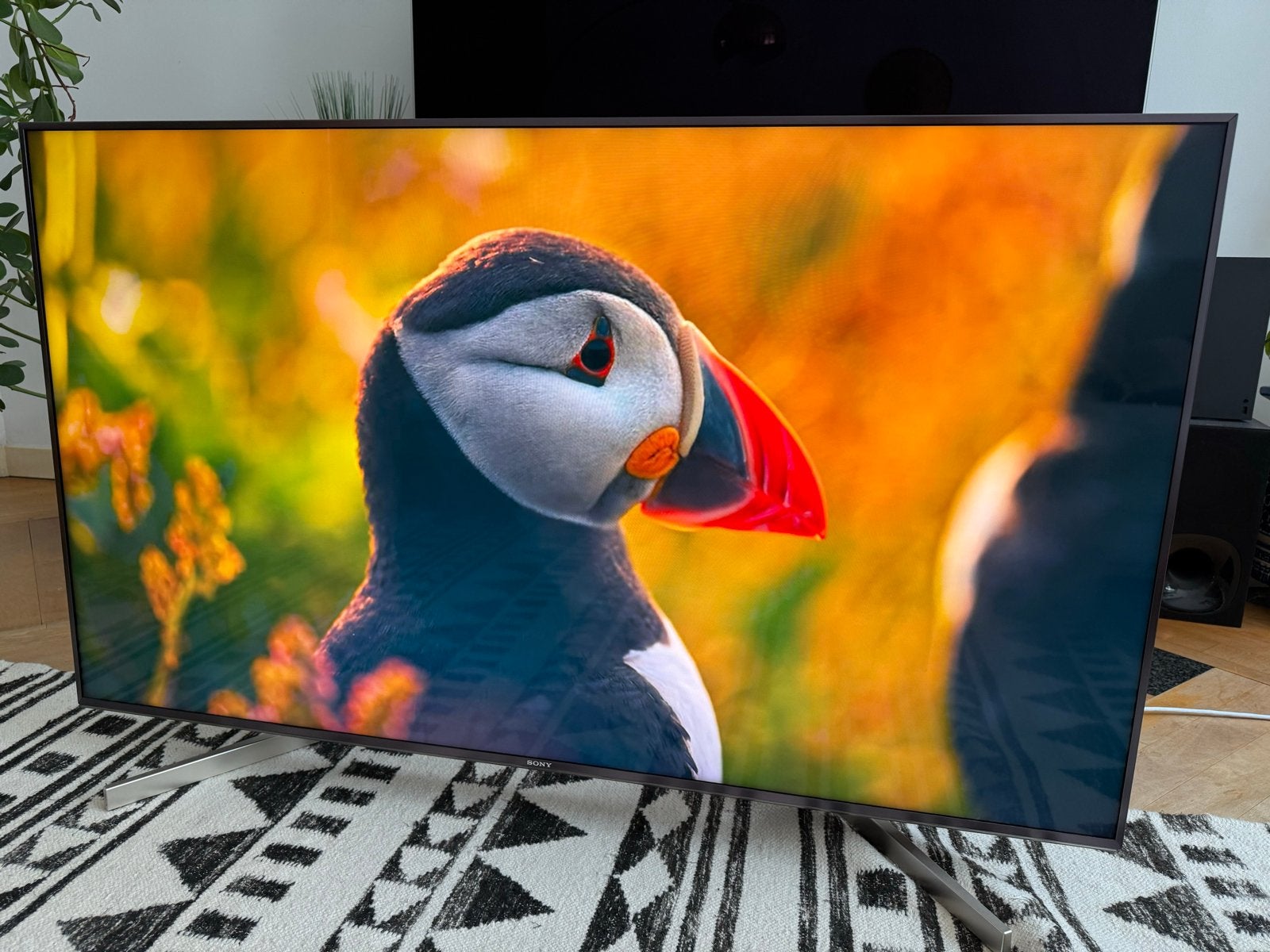 Sony 55” 4K Smart TV (KD-55XF9005), Audio, Tv en Foto, Televisies, Ophalen, LED, Zo goed als nieuw, 100 Hz