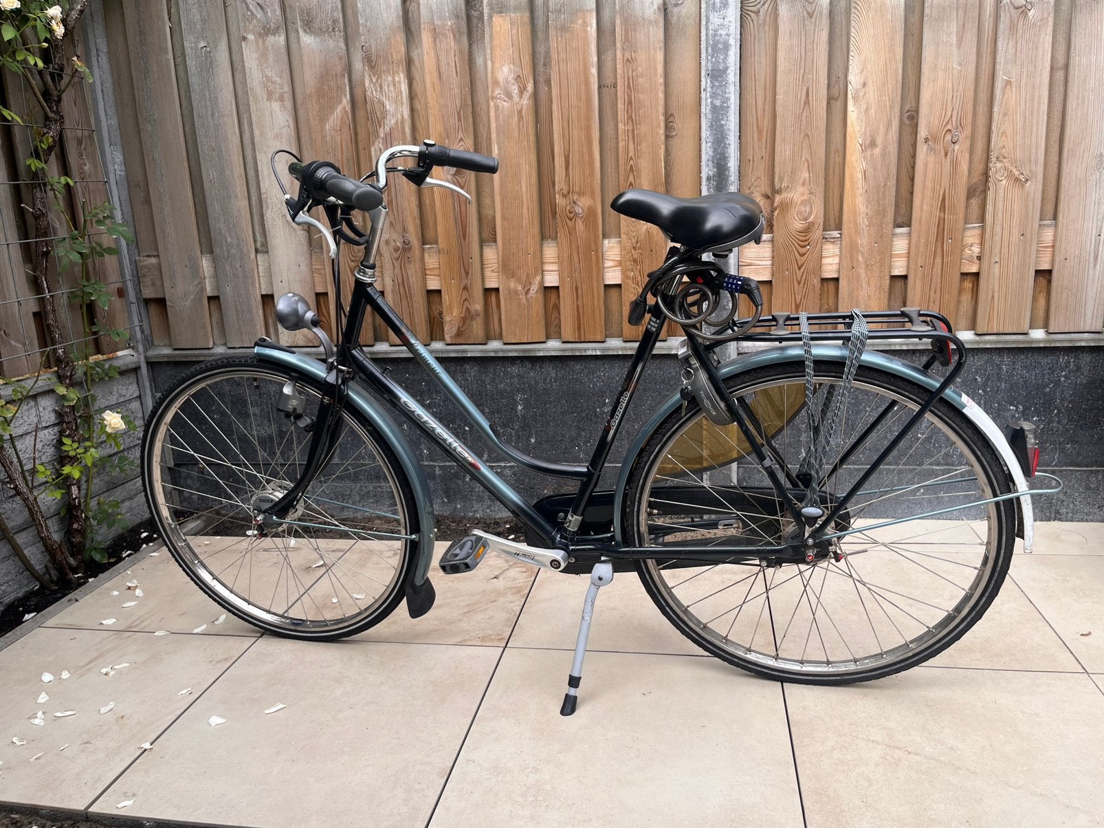 Gazelle Damesfiets - Framemaat 57, Ophalen, Gebruikt, Versnellingen, 56 cm of meer