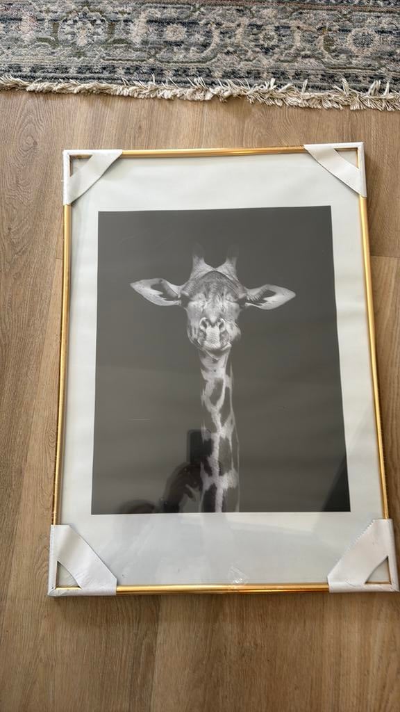 New gold frame 50x70, Ophalen, Nieuw, Overige materialen