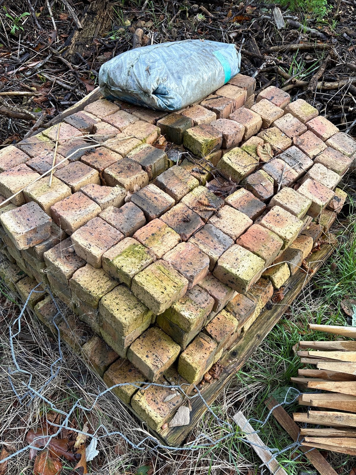 Gebruikte bakstenen voor tuin of bestrating, Doe-het-zelf en Verbouw, Ophalen, Gebruikt, Bakstenen