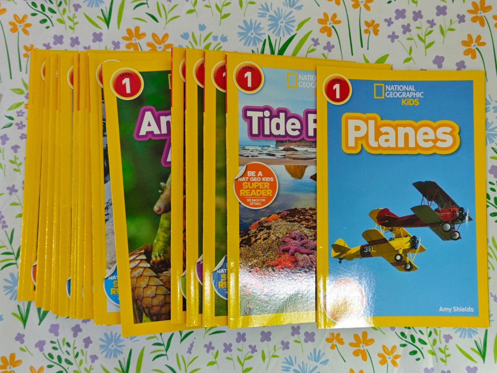 Complete National Geographic Kids serie (20 boeken), Boeken, Kinderboeken | Jeugd | onder 10 jaar, Ophalen of Verzenden, Zo goed als nieuw
