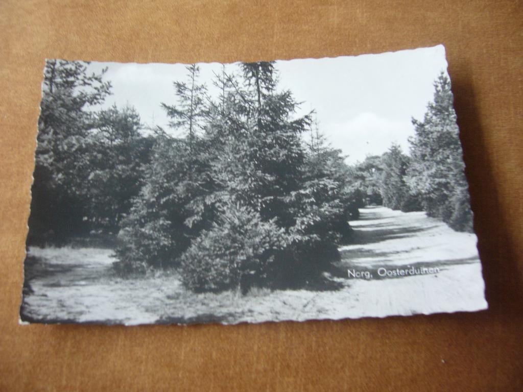 NORG  =  OOSTERDUINEN, Ophalen of Verzenden, 1940 tot 1960, Ongelopen