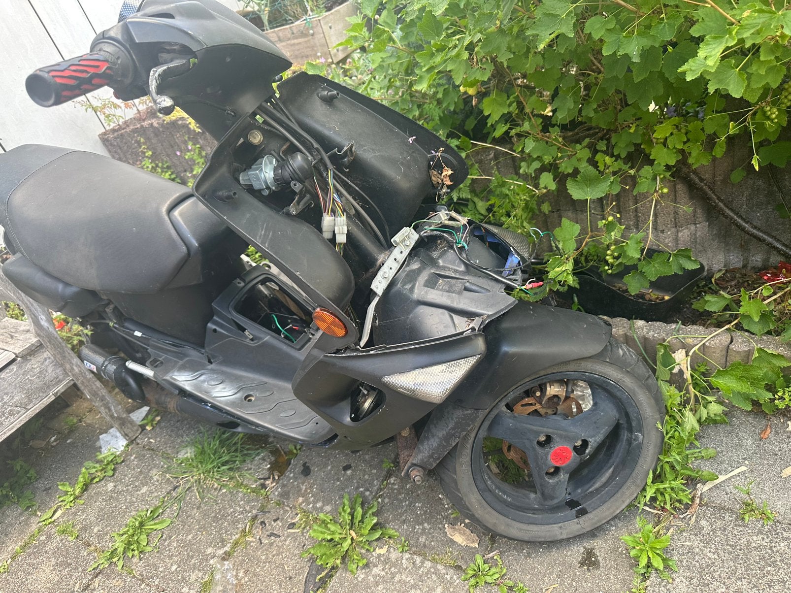 Gratis meenemen, Ophalen