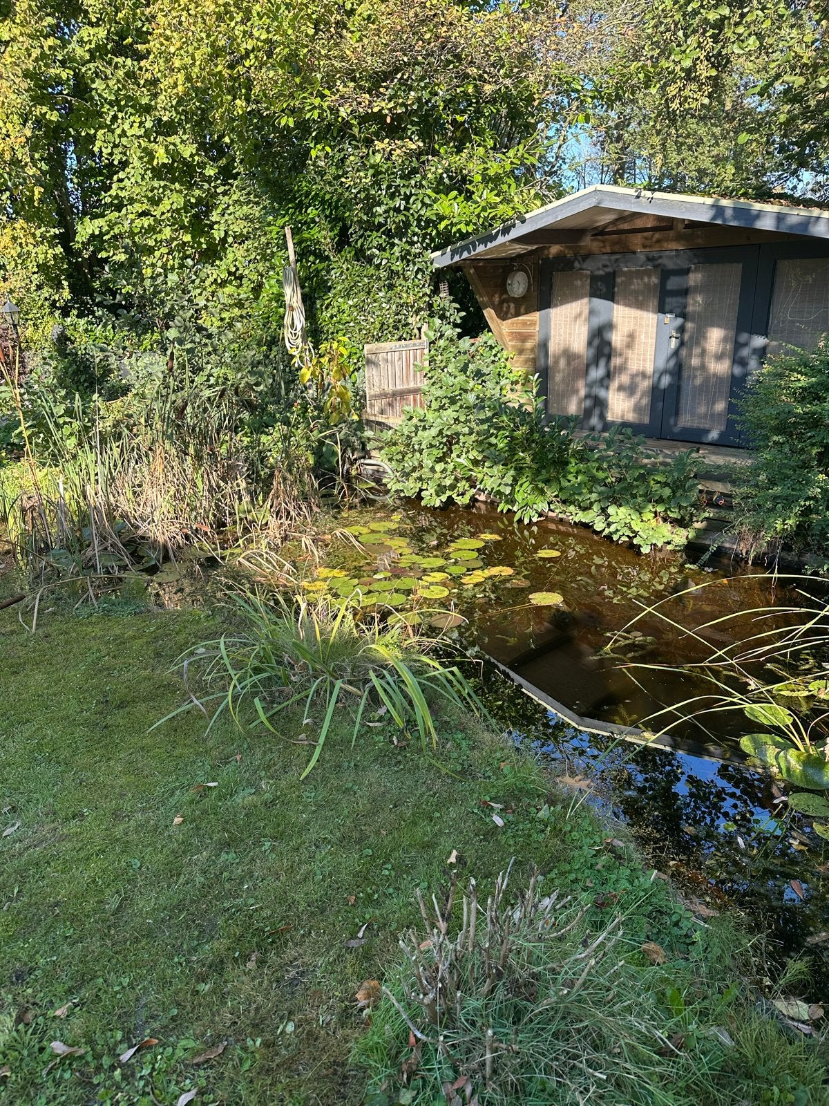 Complete vijver met pomp, fontijn, filter en toebehoren, Tuin en Terras, Ophalen, Gebruikt