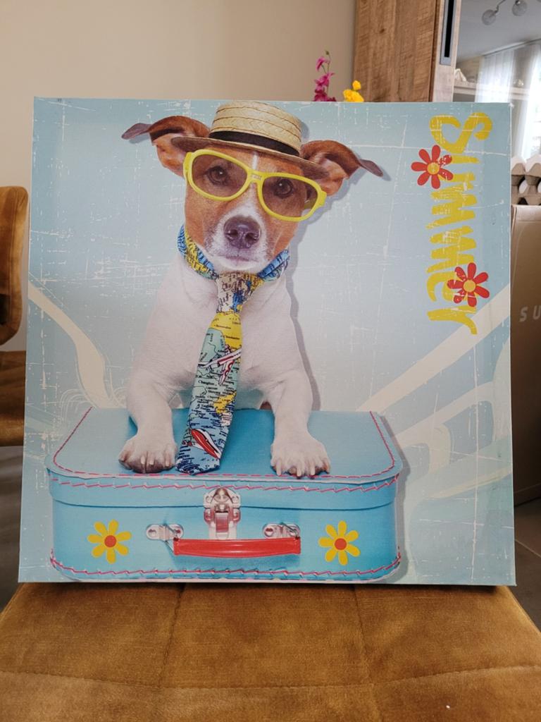 Leuke honden canvas schilderijen (2 stuks), Ophalen, Minder dan 50 cm, Gebruikt, Schilderij