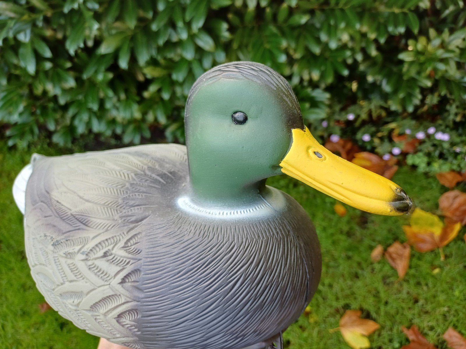 Zéér mooie mannelijke (woerd) lokeend / wilde eend, Ophalen of Verzenden, Nieuw, Wild dier, Beeldje of Figuurtje