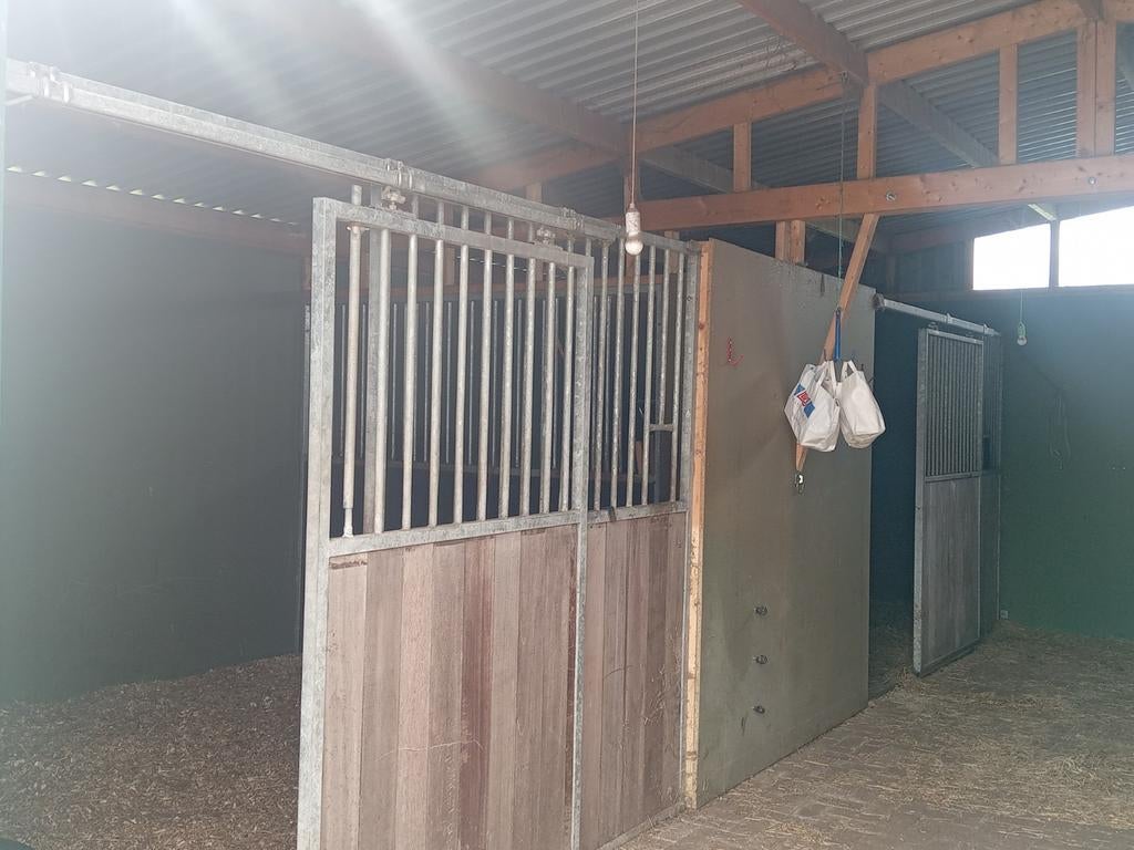 Tijdenlijke opvang paarden/pony s, Weidegang
