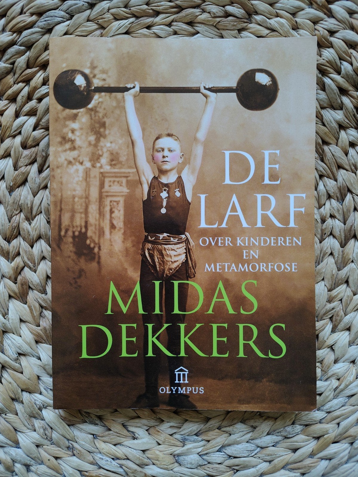 Midas Dekkers - De larf, Boeken, Ophalen of Verzenden, Zo goed als nieuw