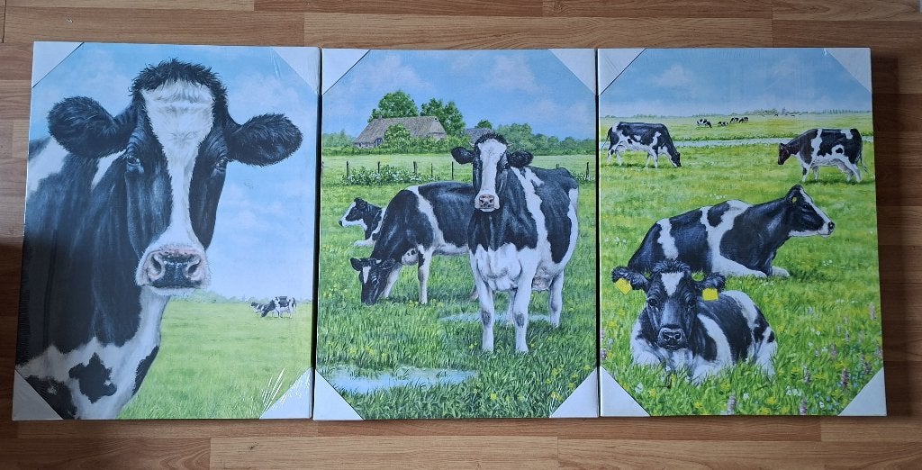 3 schilderijen koeien canvas Theo, Huis en Inrichting, Woonaccessoires | Schilderijen, Tekeningen en Foto's, Minder dan 50 cm