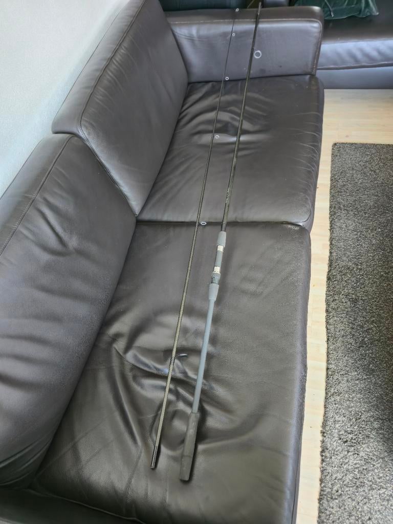 Tricast handbouw karperhengel 12ft 2,75 lb tri cast, Ophalen, Gebruikt, Werphengel