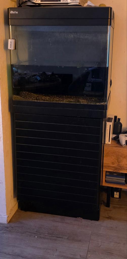Aquarium, Doe-het-zelf en Verbouw, Deuren en Horren, Ophalen of Verzenden, Binnendeur, 200 tot 215 cm