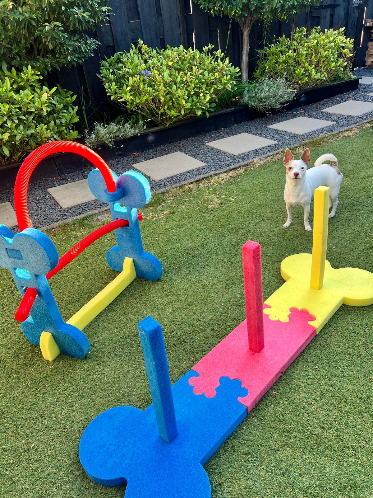 Rosewood agility set, Ophalen, Gebruikt, Behendigheidspeelgoed, Overige merken