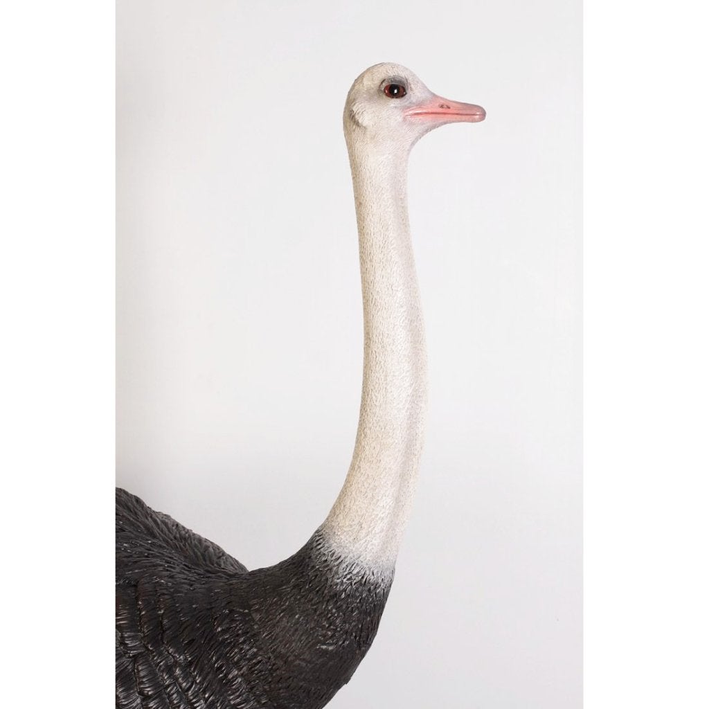 Ostrich beeld – Struisvogel Hoogte 213 cm, Verzamelen, Dierenverzamelingen, Ophalen, Nieuw, Overige typen