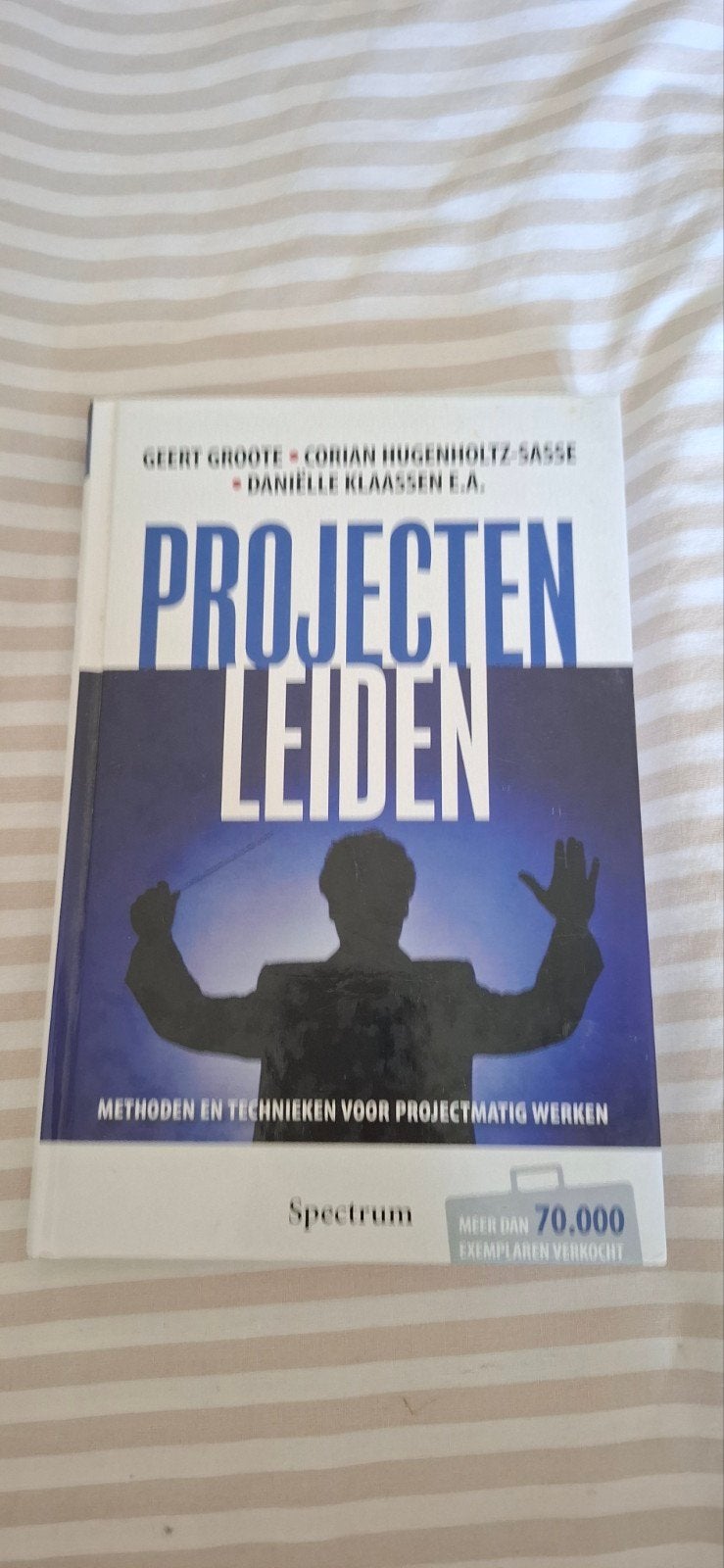 Projecten Leiden - Methoden en technieken, Zo goed als nieuw, Geert Groote, Corian Hugenholtz-Sasse, Danielle Klaassen e.a., Gamma