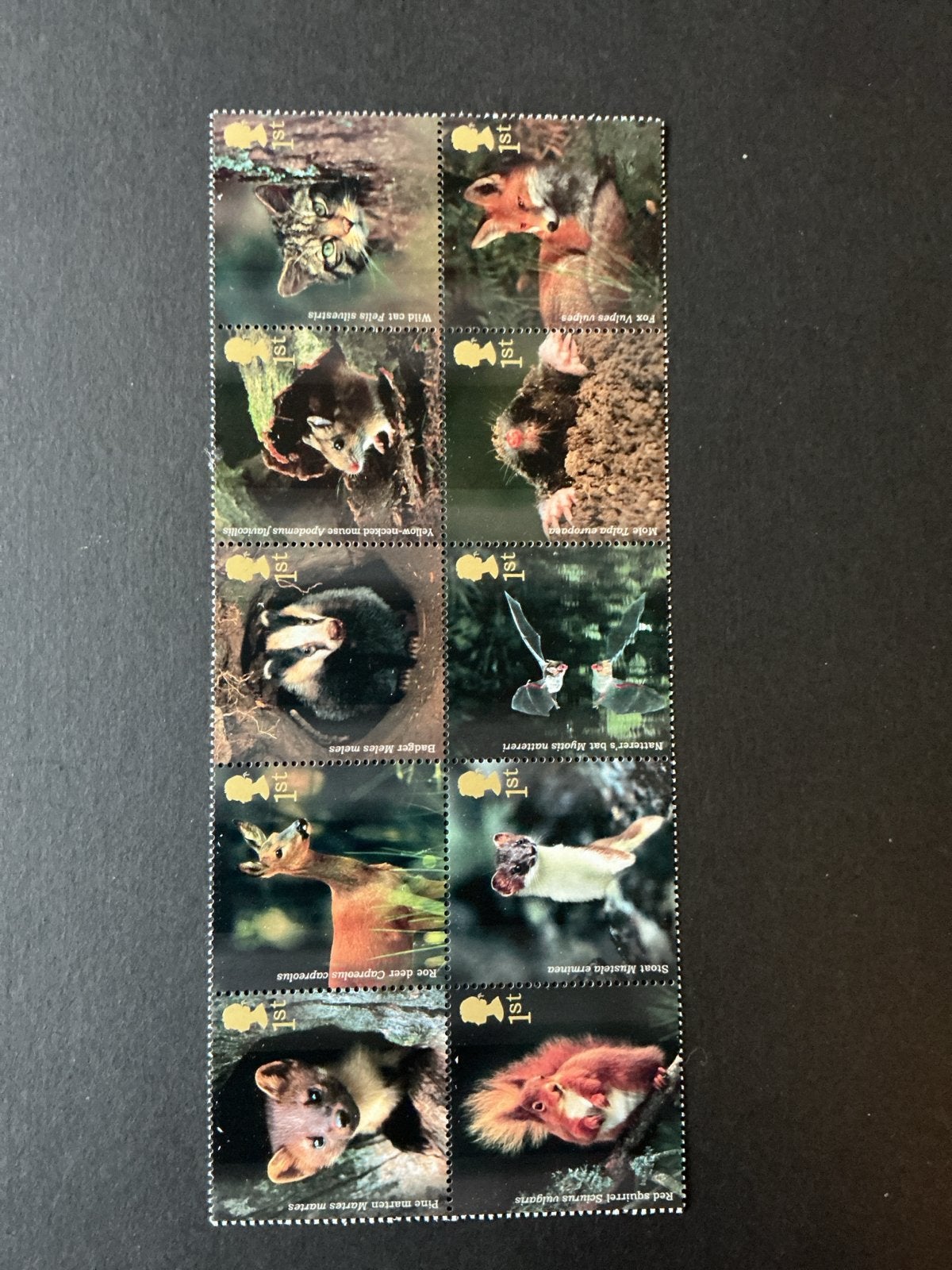 UK Dieren en Natuur - 1st Class Collectie, Verzenden, Postfris, Dier of Natuur