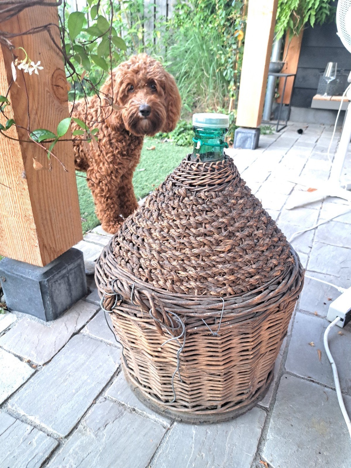 Traditiome Demijohn in origineel vlechtwerken mand, Ophalen