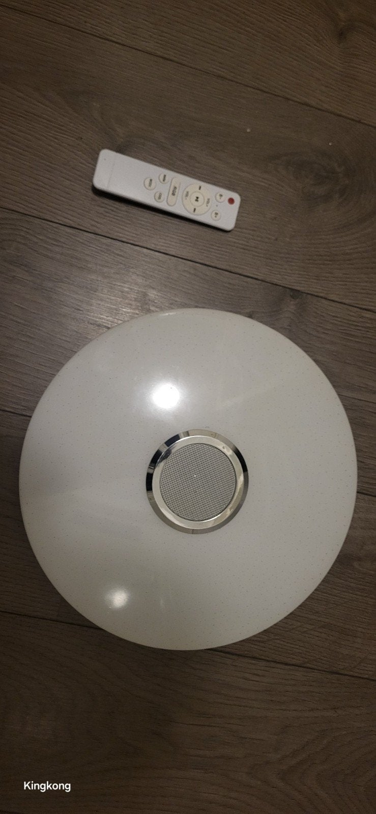 Plafondlamp met Bluetooth speaker en afstandsbediening, Ophalen, Overige merken, Gebruikt, Kunststof