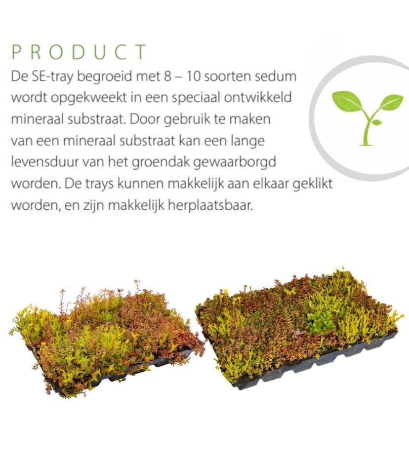 Sedum cassettes 40x60 €15,00 pst Sedummatten 22,50pst, Tuin en Terras, Ophalen of Verzenden, Volle zon
